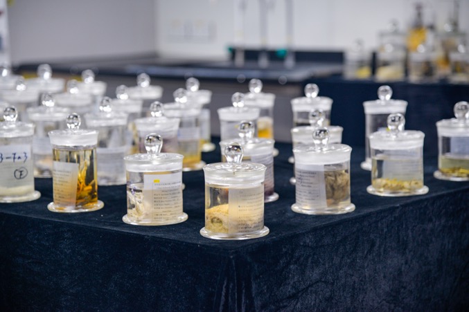 “奮斗者”號采集的深淵樣本。深海所供圖